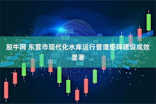 股牛网 东营市现代化水库运行管理矩阵建设成效显著