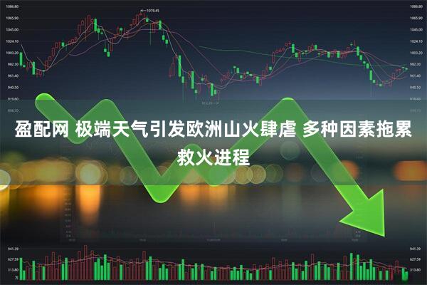 盈配网 极端天气引发欧洲山火肆虐 多种因素拖累救火进程