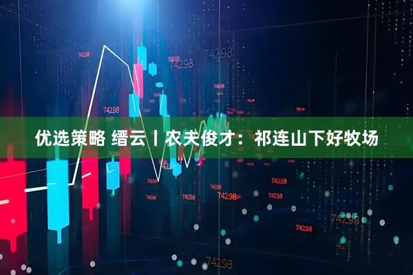 优选策略 缙云丨农夫俊才：祁连山下好牧场