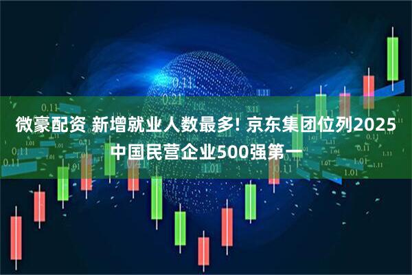 微豪配资 新增就业人数最多! 京东集团位列2025中国民营企业500强第一