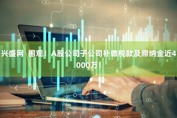 兴盛网 围观!A股公司子公司补缴税款及滞纳金近4000万!