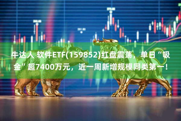 牛达人 软件ETF(159852)红盘震荡，单日“吸金”超7400万元，近一周新增规模同类第一！
